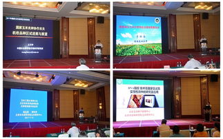 技术推广服务中心 驱动创新成果转化的关键枢纽