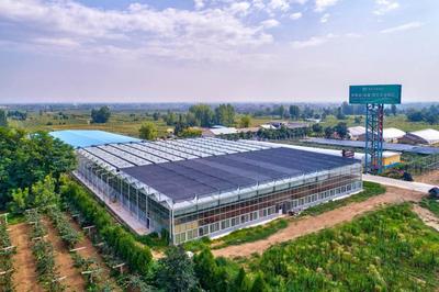 科技创新引领农业发展 西安高新区农业企业荣膺陕西省科技进步二等奖