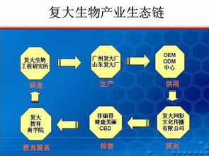 如何寻找技术过硬的化妆品OEM代加工工厂 从技术审核到推广服务的全攻略